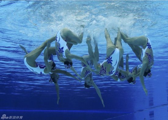 ��Ƶ-������Ӿ������Ŀժ�� �й��𻨴����ս��