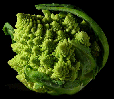 这种花椰菜长相特别,花球表面由许多螺旋形的小花所组成 这种花椰菜长相特别,花球表面由许多螺旋形的小花所组成