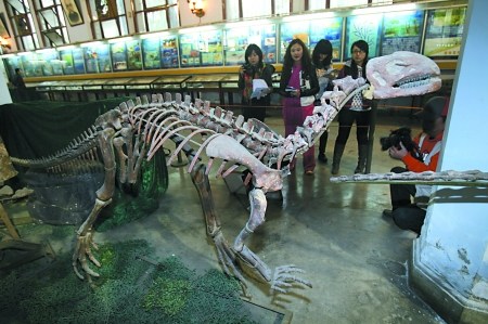 鸿鹤盐都龙化石也将来渝展出 鸿鹤盐都龙化石也将来渝展出