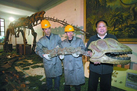合川马门溪龙的头部为制作的替代品 合川马门溪龙的头部为制作的替代品