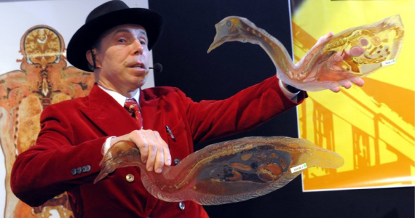 冯·哈根斯正在展示一只小鸟的横截面切片。他的展览中心和商店在关闭15个月后,将在28日重新开张。 冯·哈根斯正在展示一只小鸟的横截面切片。他的展览中心和商店在关闭15个月后,将在28日重新开张。