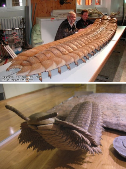 古老的巨型虫 古老的巨型虫