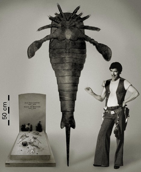 古老的巨型虫 古老的巨型虫