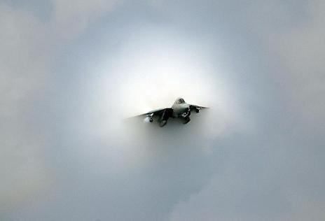 F-14D“雄猫”战斗机 F-14D“雄猫”战斗机
