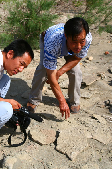 安建福馆长在考察鸟类足迹 安建福馆长在考察鸟类足迹