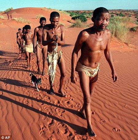 生活在喀拉哈里沙漠的布须曼人(Bushmen)是目前全球仅存的一小部分仍旧依靠采猎为生的群体之一 生活在喀拉哈里沙漠的布须曼人(Bushmen)是目前全球仅存的一小部分仍旧依靠采猎为生的群体之一