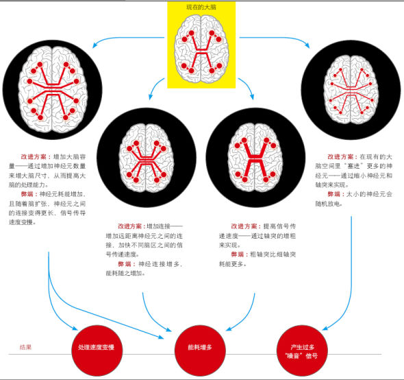 我们可能无法变得更聪明 我们可能无法变得更聪明
