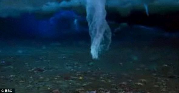 冰柱抵达海床,周围能够看到海星的身影。在体积增大到一定程度后,冰柱发生破裂 冰柱抵达海床,周围能够看到海星的身影。在体积增大到一定程度后,冰柱发生破裂