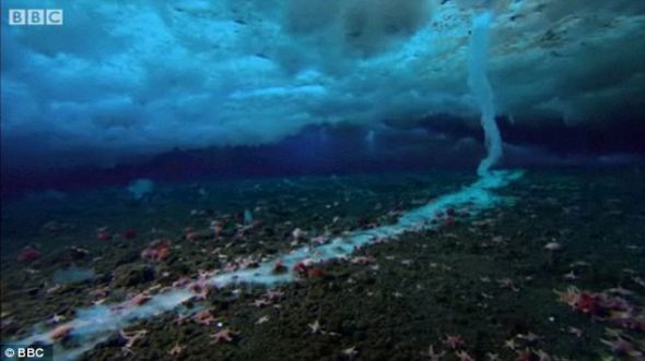 周围的海水遇到盐水后快速冻结,此时的冰更像是一个海绵,而不是普通的冰 周围的海水遇到盐水后快速冻结,此时的冰更像是一个海绵,而不是普通的冰