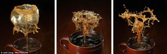 53岁的杰克使用佳能1Ds MkII相机和直径是50毫米的佳能28-70 f2.8镜头完成他的杰作 53岁的杰克使用佳能1Ds MkII相机和直径是50毫米的佳能28-70 f2.8镜头完成他的杰作
