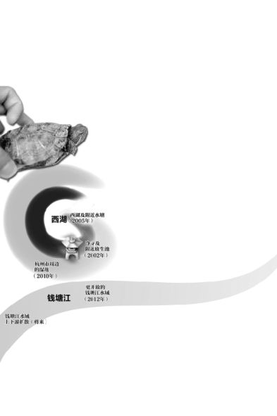 巴西彩龟入侵钱塘江 巴西彩龟入侵钱塘江