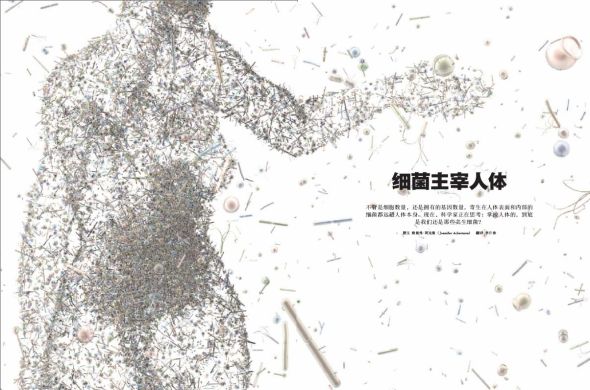 细菌主宰人体 细菌主宰人体