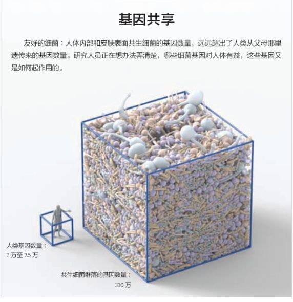 基因共享 基因共享