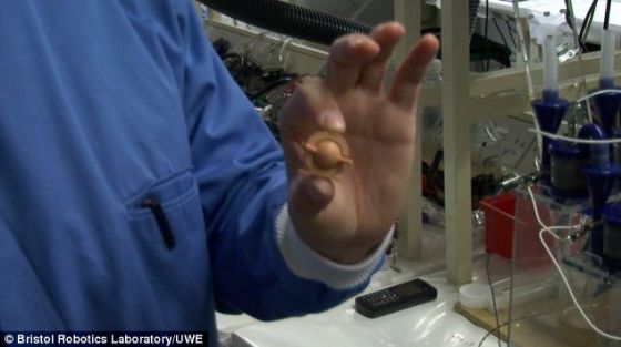 个微生物燃料电池。微生物燃料电池是一个能量转换器,利用微生物的新陈代谢将有机物质直接转换成电 个微生物燃料电池。微生物燃料电池是一个能量转换器,利用微生物的新陈代谢将有机物质直接转换成电
