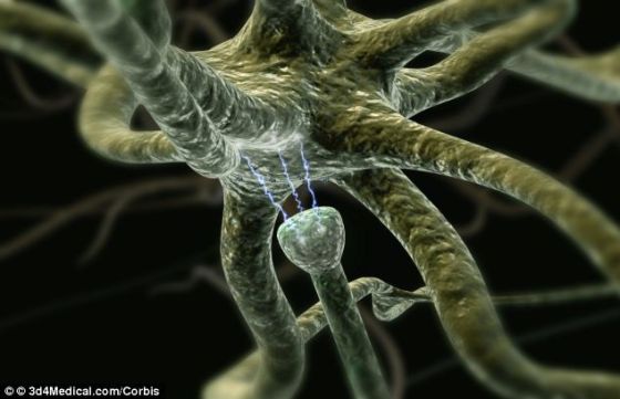 人类的大脑可装入一个2升的瓶子,所消耗的能量相当于一盏20瓦灯泡,能效是当前任何电脑的1万倍左右 人类的大脑可装入一个2升的瓶子,所消耗的能量相当于一盏20瓦灯泡,能效是当前任何电脑的1万倍左右