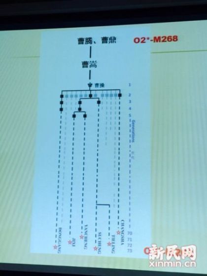 图说:复旦课题组发布曹操家族DNA研究结果。新民网 记者 李欣 摄 图说:复旦课题组发布曹操家族DNA研究结果。新民网 记者 李欣 摄