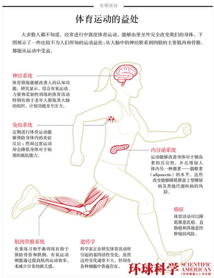 运动改造人体 运动改造人体