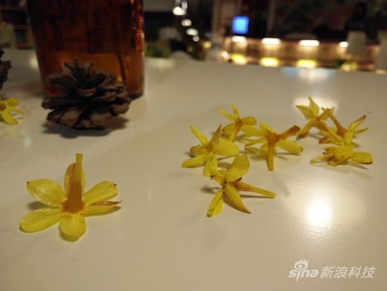 样片 样片