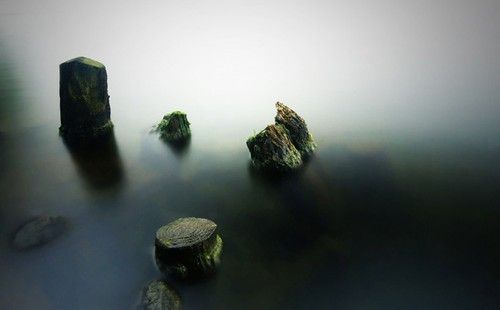 Photo by Lu Yu Photo by Lu Yu