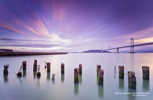 Photo by David Yu Photo by David Yu