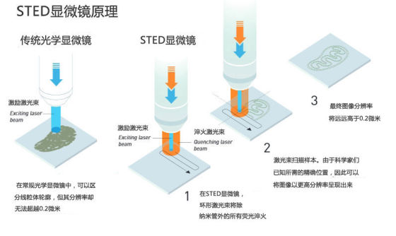 图2:在常规光学显微镜中,可以区分线粒体的轮廓,但其分辨率却无法超越0.2微米。 图2:在常规光学显微镜中,可以区分线粒体的轮廓,但其分辨率却无法超越0.2微米。