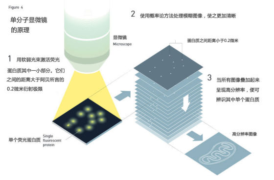 图4:单分子显微镜原理 图4:单分子显微镜原理