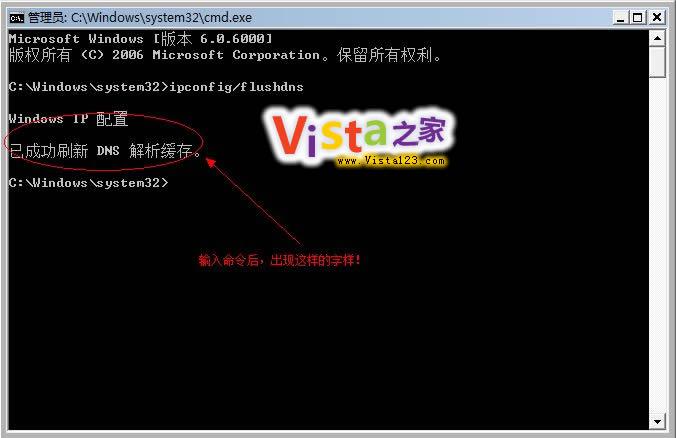 ����鿴�����VistaϵͳDNS��������
