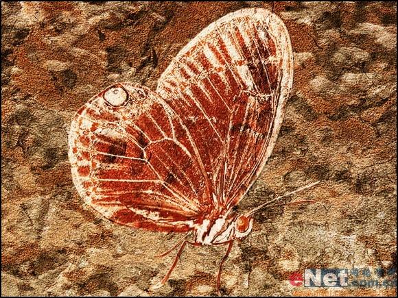 ����̳�:Photoshop��������������ʯ