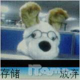 直立薄行新宠摩托罗拉W218首发评测