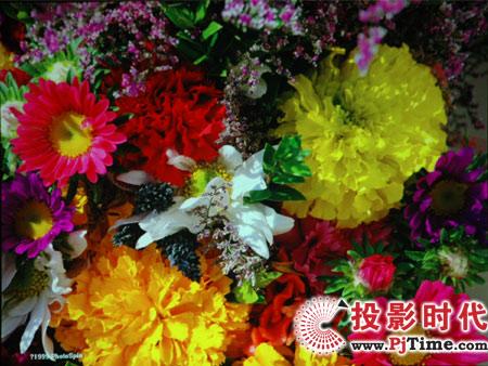 东芝TLP-X3000C投影机详细评测
