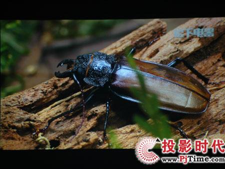 东芝TLP-X3000C投影机详细评测