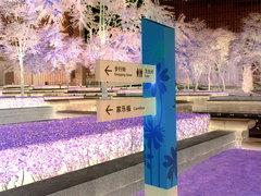终极对决诺基亚E90与N73拍照手机对比