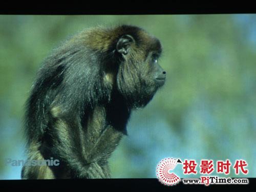 领跑级别爱普生EMP-822投影机评测
