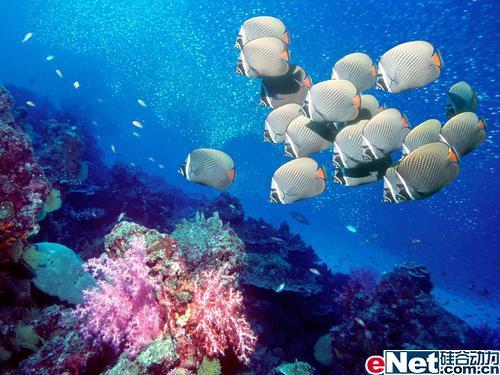 �����ں�������Ǳˮ��Ӱ���鼼��̸