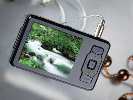 2GB 399Ԫ 2.4ӢQVGAMP3׼ѡ 