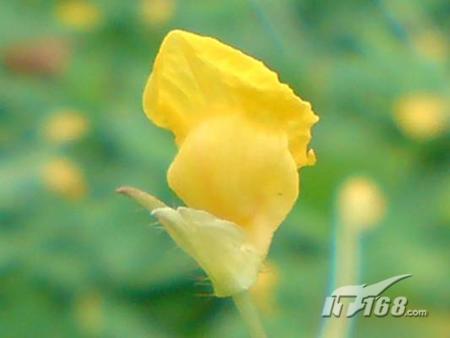 体验新感觉 索爱K818c摄像功能实测_Sony Er