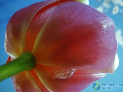 高亮炫彩新内涵 联想T15投影全国首测_硬件