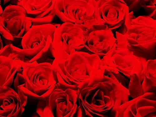 七夕情人节 听HIFI十大男女对唱歌曲(6)_数码