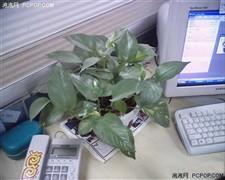 ����һ������ϸ������MP4ʮ��ʵ�ù���(3)