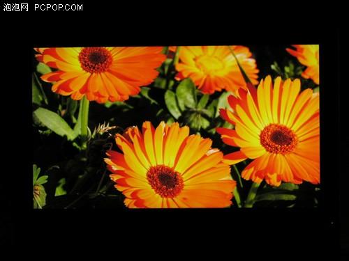 ɫ�ʳ�������32����ƷС��Һ������(5)