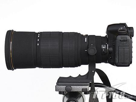 全画幅长焦首选 样张评价适马120-300F2.8_数码