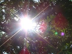 �๦���봴�µ������������T70����