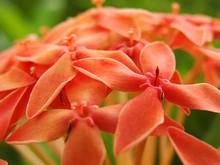 �ڴ����ȫ�ܴ��ڽ��ճ���DC����H3����(14)