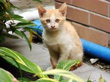 �ڴ����ȫ�ܴ��ڽ��ճ���DC����H3����(14)