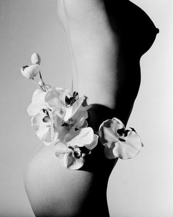 ��Ӱ��������֪�������㼼��������