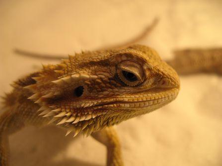 �ܾ�ɵ�ϻ�9����Ѯ�ֵ�����ֶ����