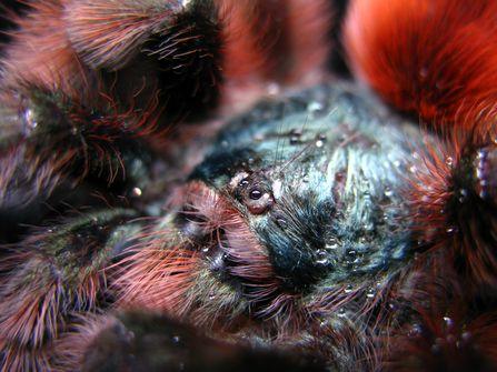 �ܾ�ɵ�ϻ�9����Ѯ�ֵ�����ֶ����