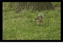 ���׻�Ѫ������Ʒ���뵥�����ȫ������(6)