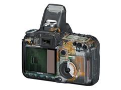 ���׻�Ѫ������Ʒ���뵥�����ȫ������(4)