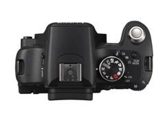 ���׻�Ѫ������Ʒ���뵥�����ȫ������(7)